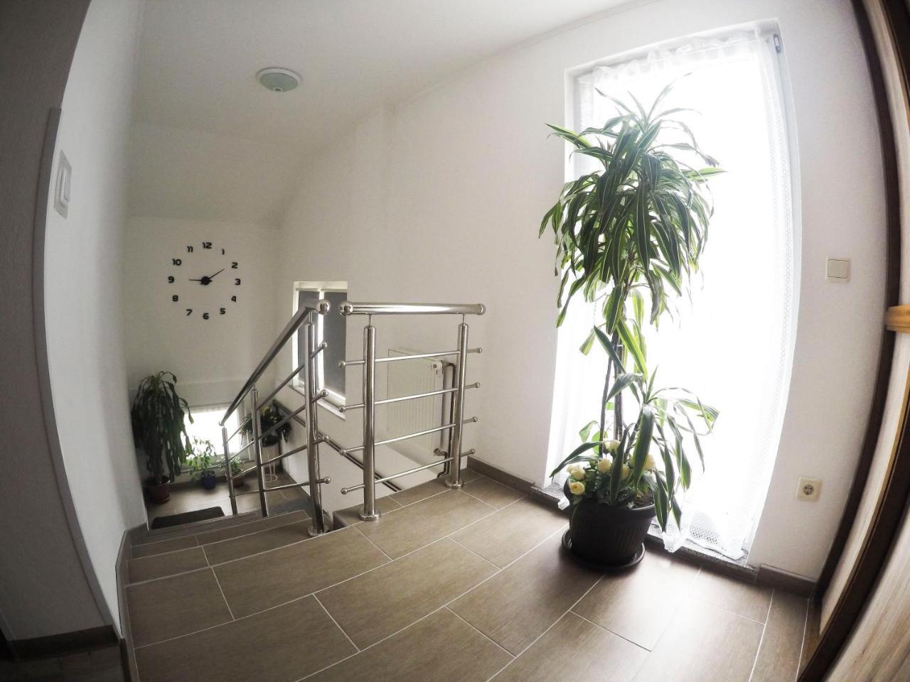 Guest House Toic كورينيتسا المظهر الخارجي الصورة